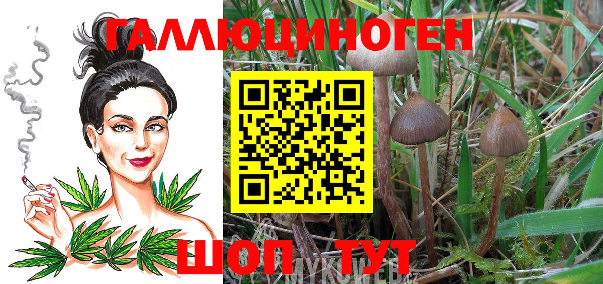 Галлюциногенные грибы Cubensis  Вход с VPN  Галлюциногенные грибы Psilocybine cubensis  Кунгур 