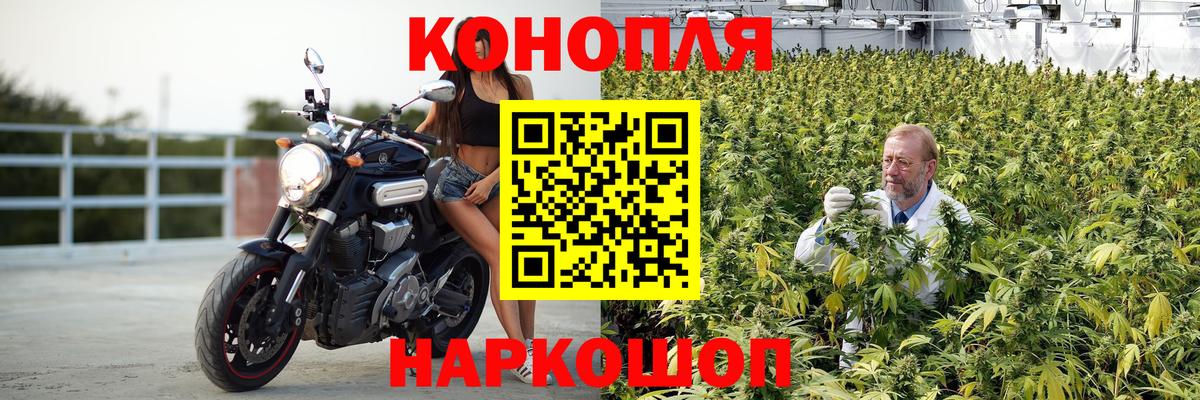 Марихуана Amnesia Кунгур